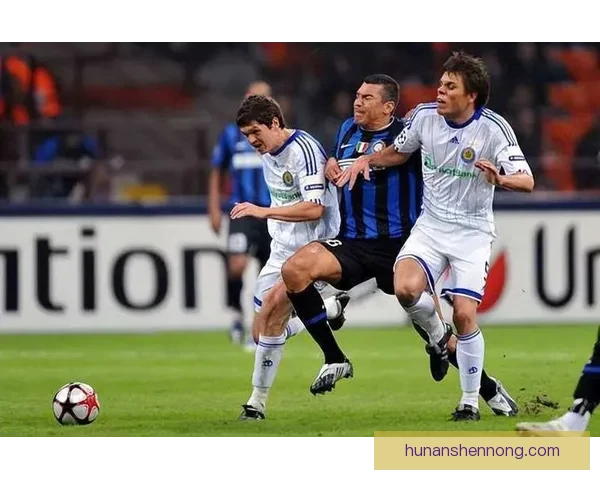 卡尔马对阵埃斯基比赛前瞻两队实力对比与历史战绩分析