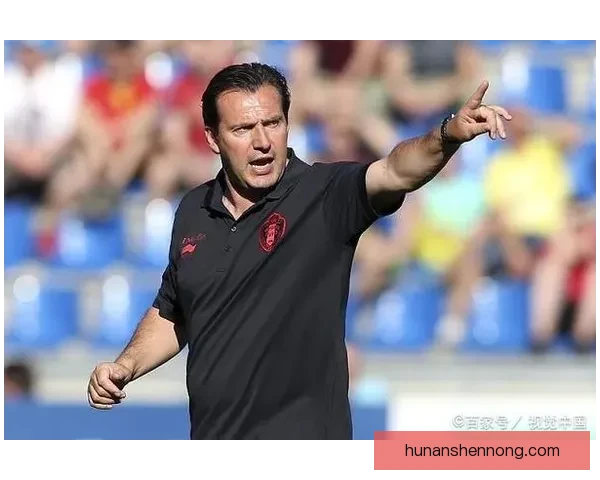 刘易斯与布里奇斯巅峰对决技术风格实力全面解析前瞻赛前形势走向