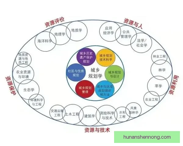 北京与伦敦城市发展文化生活与全球影响力全方位对比研究视角观察