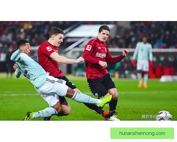 以西悉尼主场迎战惠灵顿凤凰新赛季焦点对决前瞻解析全面看点