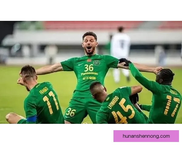 以哈顿vs焦点对决赛前前瞻战术解析与胜负看点全面深度盘点形势走向