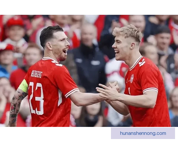 丹麦对阵德国赛前预测分析与胜负走向全面解读数据与战术状态深度剖析