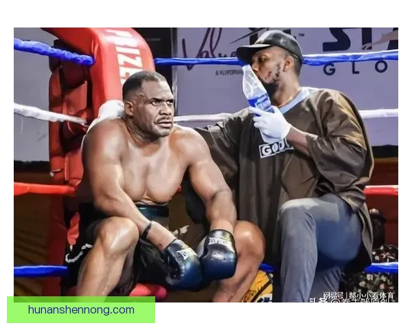 伊比布奇vs大卫图阿巅峰重拳对决揭示重量级拳坛力量美学史诗瞬间回顾