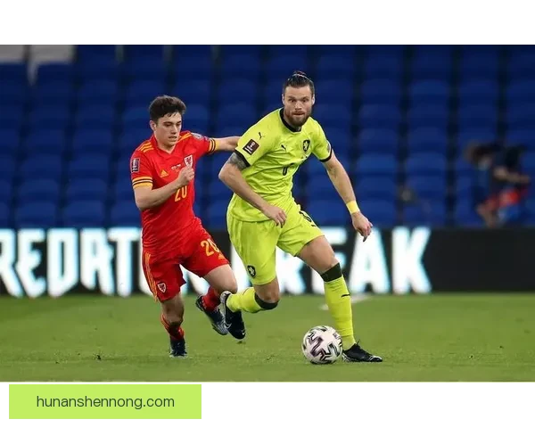 前瞻捷克对阵苏格兰的战术博弈与欧洲赛场焦点生死较量全景解析