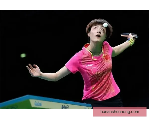 丁宁对阵平野美宇经典回放国乒经验与冲击力的巅峰较量全程解析