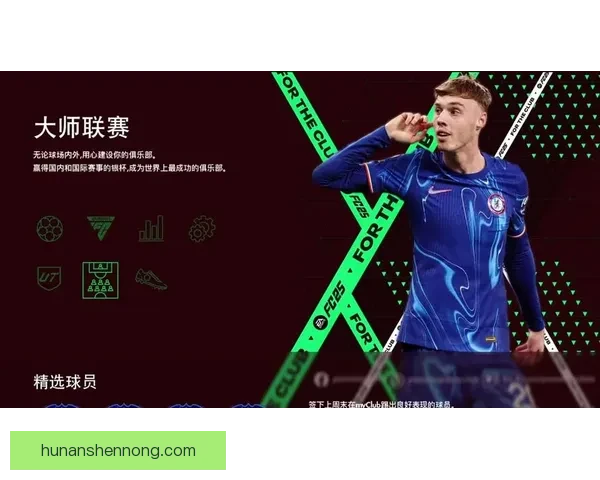 不来梅迎战狼堡德甲焦点对决走势分析与看点前瞻全面解读赛前形势